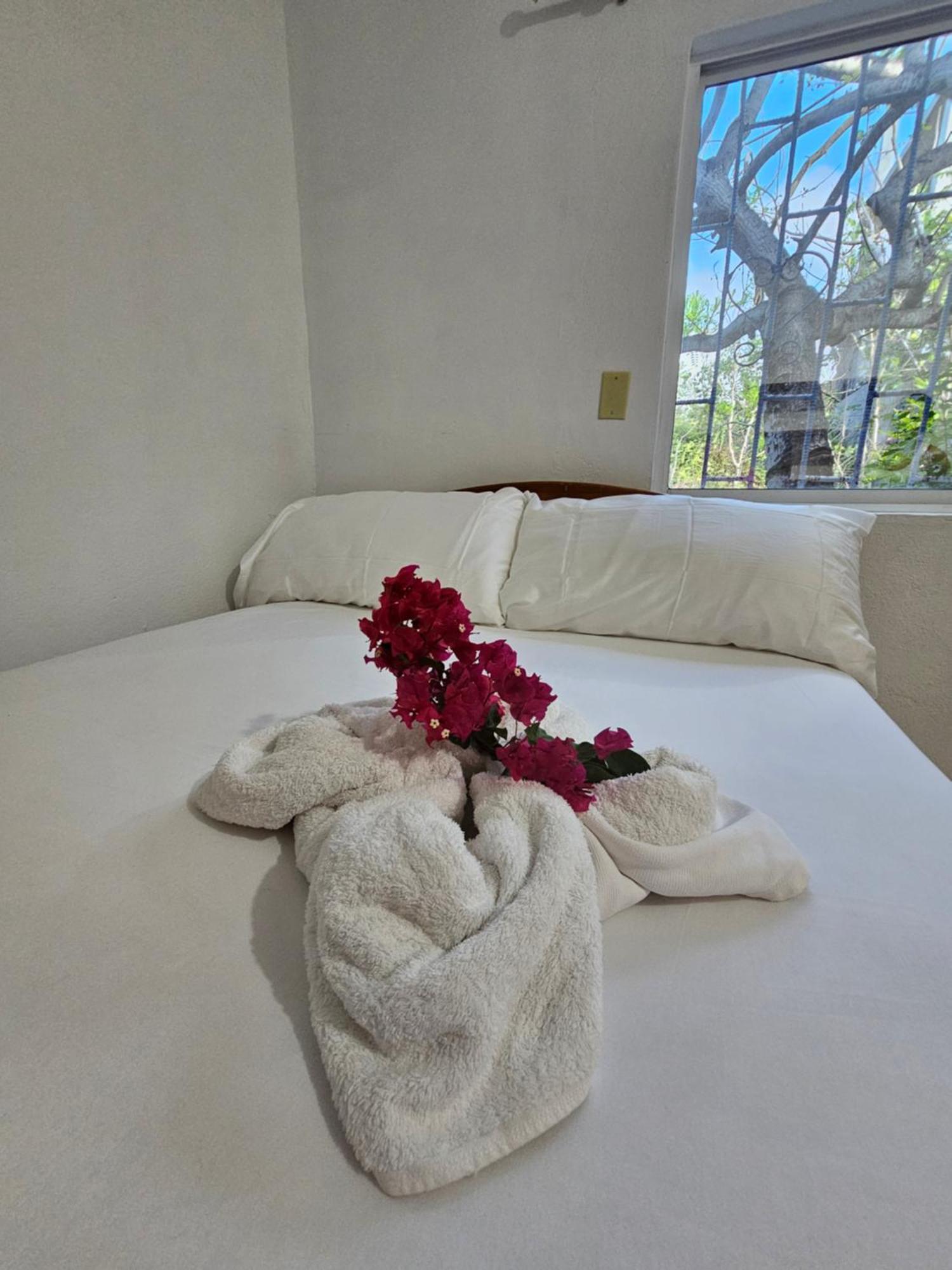 Lovely Inn San Cristóbal Εξωτερικό φωτογραφία
